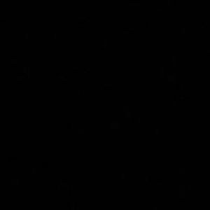 Meet your Posher, Jsani